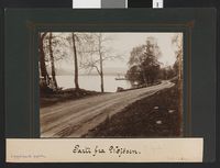 258. Parti fra Mjøsen - no-nb digifoto 20151221 00015 bldsa fFA00475.jpg