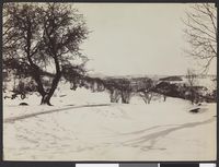 111. Parti nær Fjøsanger ved Bergen - no-nb digifoto 20160303 00088 bldsa L KK0248.jpg