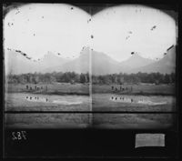 37. Parti ved Kobvand - NB bldsa OTO0782 A.jpg