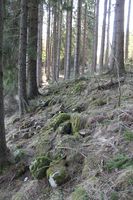 Fra stedet. Foto: Chris Nyborg (2013).