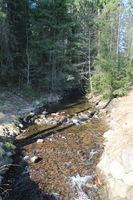 Pinabekken er en av bekkene som fører vann til Sognsvann. Foto: Chris Nyborg (2013).