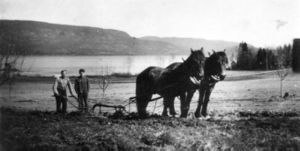 Pløying med to-spann på Gunhildrud på Fiskum (oeb-195855).jpg