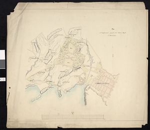 Plan de l'emplacement projeté du château Royal à Christiania - no-nb krt 00867.jpg