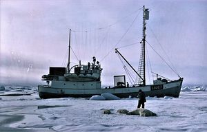 Polarulv -67.jpg