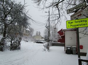 Poppelstien Oslo 2015.jpg