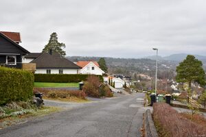 Porsgrunn, Hvalen terrasse-1.jpg