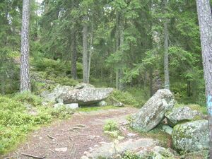 Port Fosskollen.jpeg