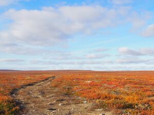 Postruta befaring foto LBN (42).JPG