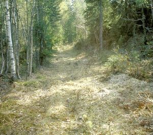 Postveien i Aust-Agder.jpg