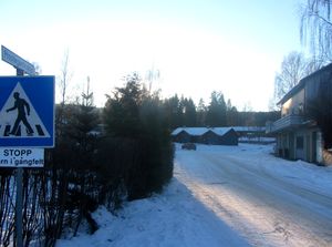 Prestegardsvikje Veggli 2014.jpg