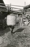 21. Prestgard Nordre, Oppland - Riksantikvaren-T125 01 0027.jpg