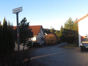 Prestlia Oslo 2013.jpg