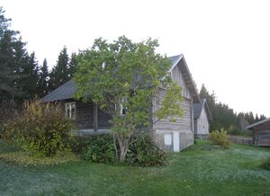 Proysenstua okt 13 a.jpg