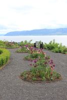 Prydnyttehagen ved Hovelsrud gård, Helgøya.jpg