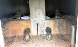 Bassenghusets indre sett fra inngangen. Foto Steinar Bunæs.