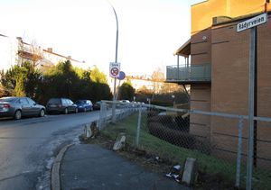 Rådyrveien Oslo 2015.jpg