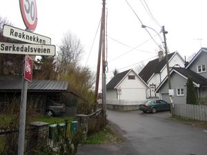 Røaknekken Oslo 2014.jpg