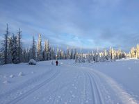 186. Rømåsen Ringsaker 2016.jpg