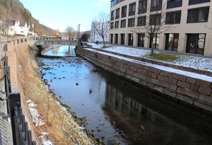 Rønne elv Bærum 2016.jpg