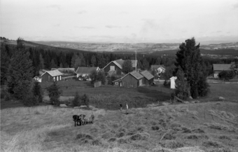 Rønningsby slåttonn.png