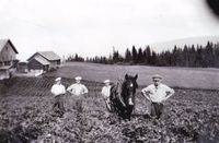 Oskar Slåttum og sønnene kjører i potetene. Ca. 1940.