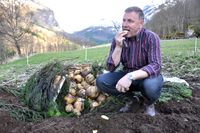 Resultatet må også sjekkast på smak. Her er det Jostein Høydal som har fått det oppdraget