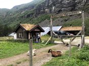 Rallarrosa stølsysteri i Kårdalen, øverst i Flåmsdalen. Foto: Lars Egil Sørsdal (2018)