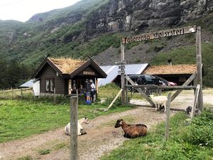 Rallarrosa stølsysteri 2018.jpeg