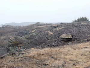 Rauoy stridsanlegg.jpg