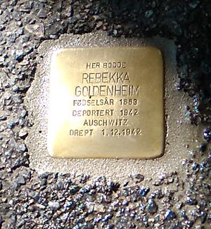 Rebekka Goldenheim snublestein.jpg