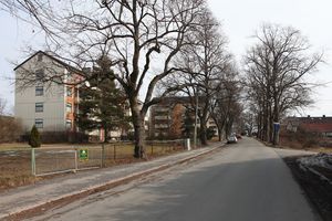 Refstad Alle TRS.jpg