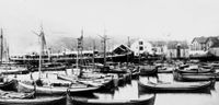 Under Harstad-markedet 1891 ble Harstads første regatta arrangert. Deltagende fartøy var i hovedsak tre og fireroms nordlandsbåter, de vi ser i forgrunnen her er imidlertid båter som var til salgs. Postkort fra 1891.