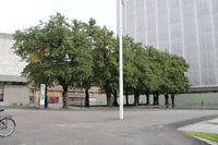 Lindealléen foran Høyblokka er den eneste delen av Empirekvartalet som er bevart på opprinnelig plass. Foto: Chris Nyborg (2013)