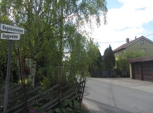 Regnbueveien Oslo 2014.jpg