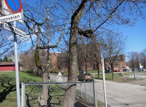 Reidar Kobros vei Oslo 2014.jpg