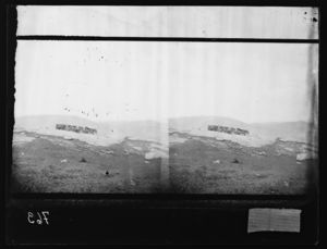 Reinsdyr på fjellet. Stereoskop - NB bldsa OTO0763 A.jpg