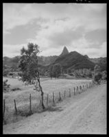 10. Reka - no-nb digifoto 20151125 00077 NB MIT FNR 08983.jpg