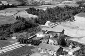 Gårdene Renskoug i Lier. I bakgrunnen ses flyplassen og i treklyngen skimtes klubbens hangar. Bildet er tatt 29. August 1954 og stilt til rådighet av Lier Historielag. Klikk på bildet for å se stor utgave