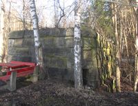 Rester av de nedre, sørlige brofundamentene på Ljansbroen. Foto: Stig Rune Pedersen