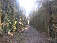 Tidligere trasé for Østfoldbanen (til 1925), sør for tidl. Ljansbroen (2012). Foto: Stig Rune Pedersen