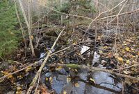 161. Rester av demning i Sokkabekkken.JPG