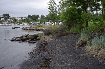 Kyststien går over Graffstranda nedenfor jordene til Nordre Nærsnes. I vannkanten lengst syd ligger steinhaugen som er restene av et fortøyningskar for skip. (Foto: Victor Iversen 2021).