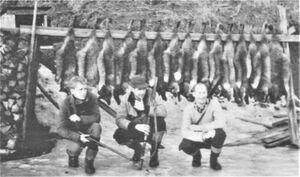 Revefangst på Byafossen.jpg