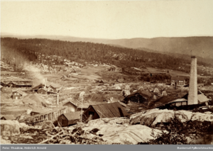 Ringerike Nikkelverk.png