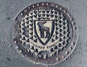 Ringsakers kommunevåpen. Foto: Elin Olsen (2014).