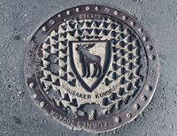 Kumlokk med kommunevåpenet, Ringsaker kommune. Foto: Elin Olsen (2014)