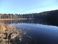 Ringsjøens østre del, med kamera vendt østover.