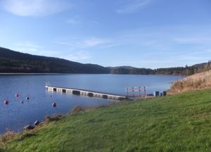 Ringsjøen badeplass.JPG