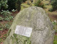 Felles gravsted for døde fra Gaustad sykehus 1965-1989. Foto: Stig Rune Pedersen