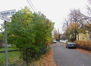 Risløkkfaret Oslo 2013.jpg